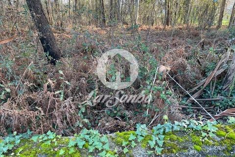 Helårsgrund i Trofa, Porto, Trofa - € 98.000 | Ref: 240-T-26150 - foto 5