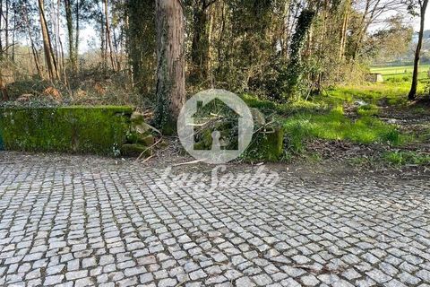 Helårsgrund i Trofa, Porto, Trofa - € 98.000 | Ref: 240-T-26150 - foto 7