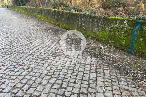 Helårsgrund i Trofa, Porto, Trofa - € 98.000 | Ref: 240-T-26150 - foto 8