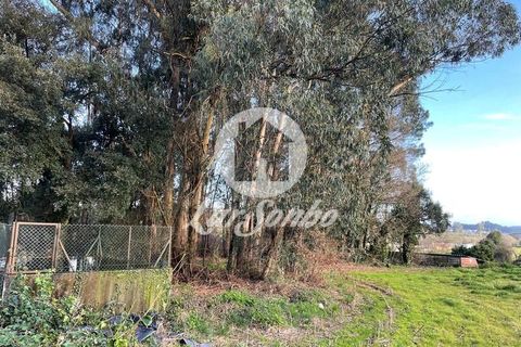 Helårsgrund i Trofa, Porto, Trofa - € 98.000 | Ref: 240-T-26150 - foto 10