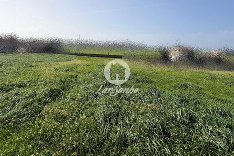 Helårsgrund i Vila do Conde, Porto, Vila do Conde - € 690.000 | Ref: 240-T-26148 - foto 2