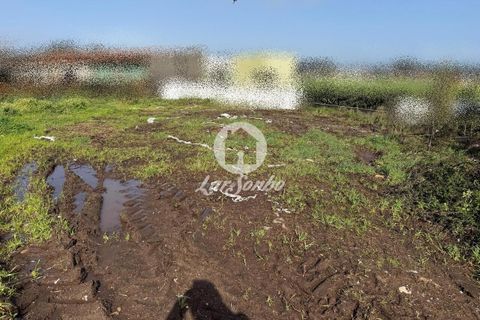 Helårsgrund i Vila do Conde, Porto, Vila do Conde - € 690.000 | Ref: 240-T-26148 - foto 6