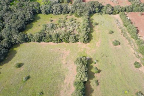 Terra a Felanitx, Mallorca, Felanitx - € 195.000 | Ref: V734 - foto 8