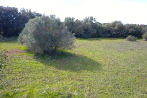 Terra a Felanitx, Mallorca, Felanitx - € 195.000 | Ref: V734 - foto 10