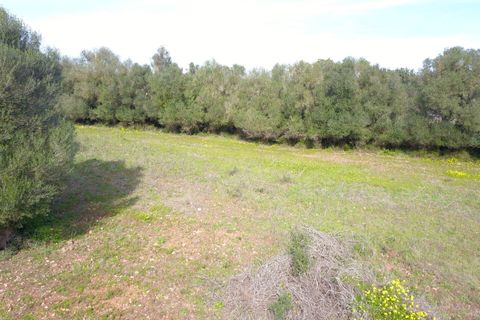 Terra a Felanitx, Mallorca, Felanitx - € 195.000 | Ref: V734 - foto 12