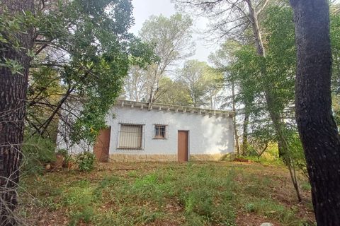 Villa a Villalonga, Valencia, Villalonga - € 185.000 | Ref: S-1594011 - foto 5