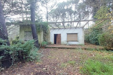 Villa a Villalonga, Valencia, Villalonga - € 185.000 | Ref: S-1594011 - foto 6