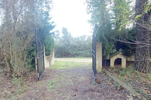 Villa a Villalonga, Valencia, Villalonga - € 185.000 | Ref: S-1594011 - foto 30