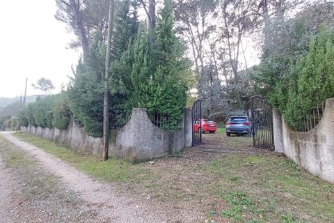Villa a Villalonga, Valencia, Villalonga - € 185.000 | Ref: S-1594011 - foto 31