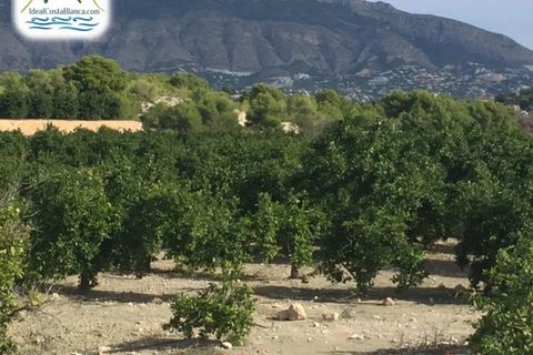Finca i Altea, Alicante, Altea - € 390.000 | Ref: 0301531/2394-C - foto 3