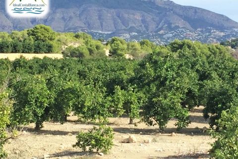 Finca i Altea, Alicante, Altea - € 390.000 | Ref: 0301531/2394-C - foto 5