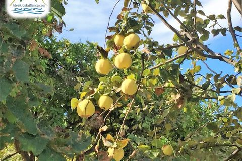 Finca i Altea, Alicante, Altea - € 390.000 | Ref: 0301531/2394-C - foto 10