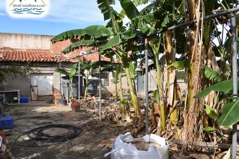 Finca i Altea, Alicante, Altea - € 390.000 | Ref: 0301531/2394-C - foto 14