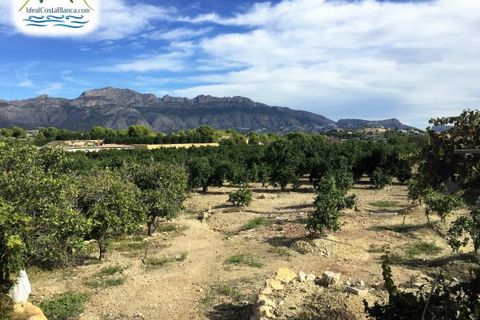 Finca i Altea, Alicante, Altea - € 390.000 | Ref: 0301531/2394-C - foto 15