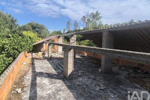 Byhus i Tomar, Santarem, Tomar - € 65.000 | Ref: 832952 - foto 14