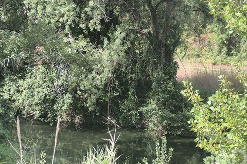 Byhus i Tomar, Santarem, Tomar - € 65.000 | Ref: 832952 - foto 25
