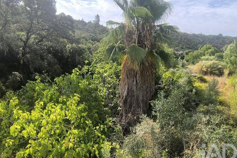Byhus i Tomar, Santarem, Tomar - € 65.000 | Ref: 832952 - foto 26