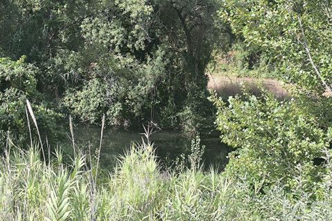 Byhus i Tomar, Santarem, Tomar - € 65.000 | Ref: 832952 - foto 27
