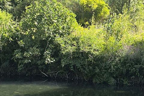 Byhus i Tomar, Santarem, Tomar - € 65.000 | Ref: 832952 - foto 29