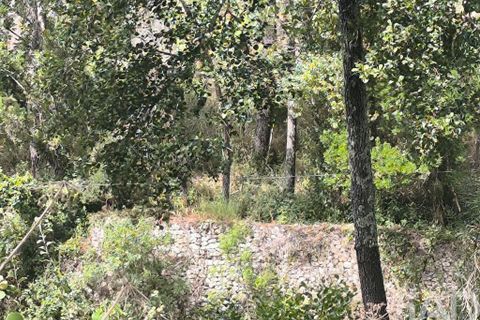 Byhus i Tomar, Santarem, Tomar - € 65.000 | Ref: 832952 - foto 31