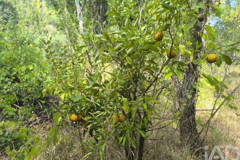 Byhus i Tomar, Santarem, Tomar - € 65.000 | Ref: 832952 - foto 34