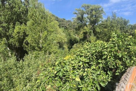 Byhus i Tomar, Santarem, Tomar - € 65.000 | Ref: 832952 - foto 35