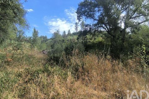 Byhus i Tomar, Santarem, Tomar - € 65.000 | Ref: 832952 - foto 37
