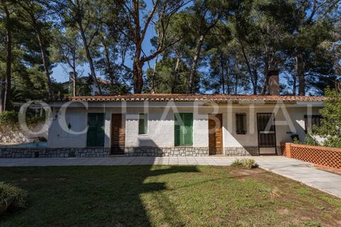 Villa a Naquera, Valencia, Naquera - € 1.100.000 | Ref: EB107d/6904 - foto 32