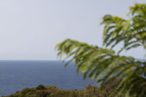 Byhus i Llucmajor, Mallorca, Llucmajor - € 3.500.000 | Ref: SPCRM4538 - foto 33