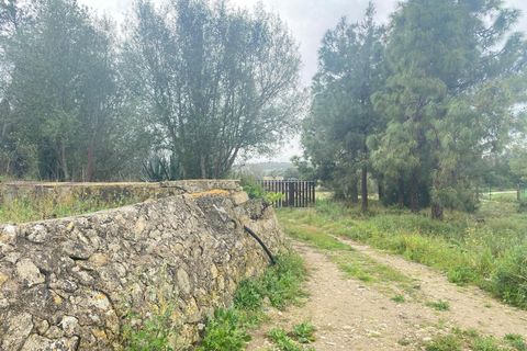 Byhus i Petra, Mallorca, Petra - € 2.000.000 | Ref: SPCRM4701 - foto 7