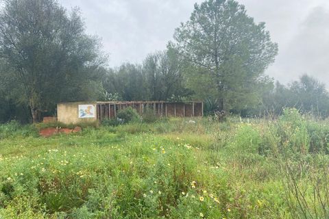 Byhus i Petra, Mallorca, Petra - € 2.000.000 | Ref: SPCRM4701 - foto 8