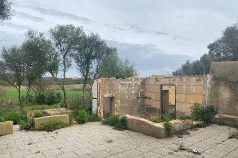 Byhus i Petra, Mallorca, Petra - € 2.000.000 | Ref: SPCRM4701 - foto 15