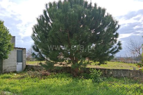 Helårsgrund i Seia, Guarda, Seia - € 60.000 | Ref: 382260018 - foto 6