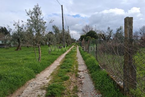 Helårsgrund i Seia, Guarda, Seia - € 60.000 | Ref: 382260018 - foto 8