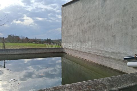 Helårsgrund i Seia, Guarda, Seia - € 60.000 | Ref: 382260018 - foto 9