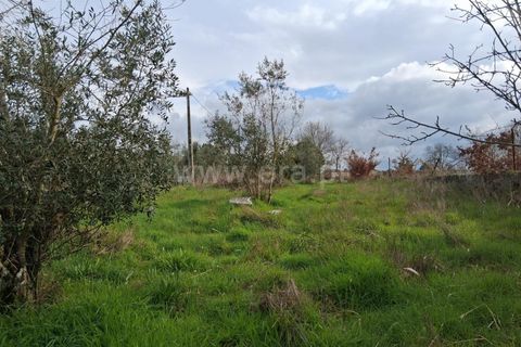Helårsgrund i Seia, Guarda, Seia - € 60.000 | Ref: 382260018 - foto 10