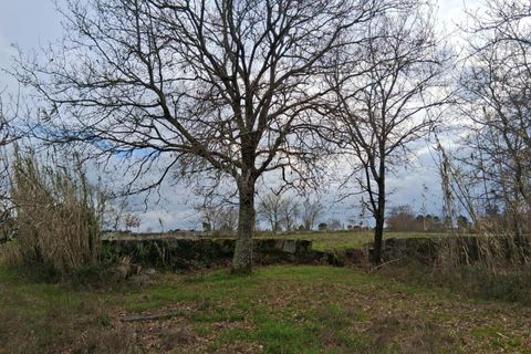 Helårsgrund i Seia, Guarda, Seia - € 60.000 | Ref: 382260018 - foto 12