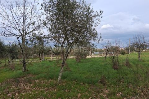 Helårsgrund i Seia, Guarda, Seia - € 60.000 | Ref: 382260018 - foto 13