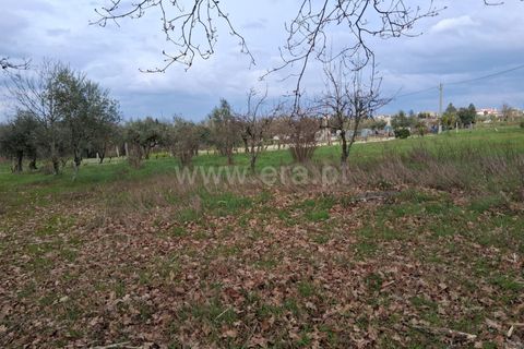 Helårsgrund i Seia, Guarda, Seia - € 60.000 | Ref: 382260018 - foto 14