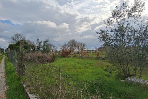 Helårsgrund i Seia, Guarda, Seia - € 60.000 | Ref: 382260018 - foto 15