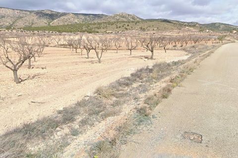 Helårsgrund i Jumilla, Murcia, Jumilla - € 23.000 | Ref: 41084-PB - foto 3