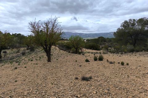 Terra a Monovar, Alicante, Monovar - € 30.995 | Ref: 64023c2409 - foto 10