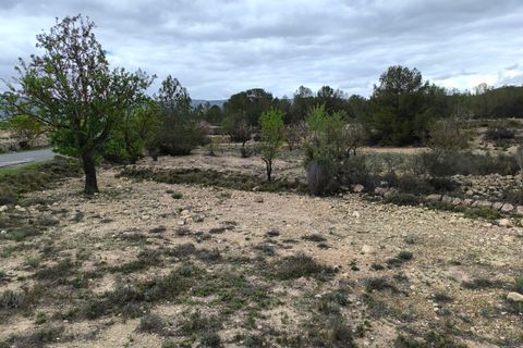 Terra a Monovar, Alicante, Monovar - € 30.995 | Ref: 64023c2409 - foto 12