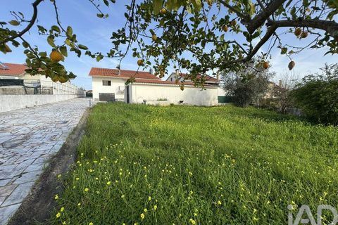 Byhus i Tomar, Santarem, Tomar - € 395.000 | Ref: 834391 - foto 35