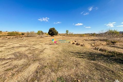 Landejendom i Albox, Almeria, Albox - € 140.000 | Ref: 2902 - foto 35