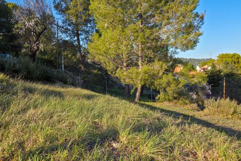 Terra a Navarcles, Barcelona, Navarcles - € 64.000 | Ref: EXP13324/8930 - foto 1