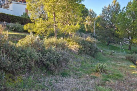 Terra a Navarcles, Barcelona, Navarcles - € 64.000 | Ref: EXP13324/8930 - foto 5