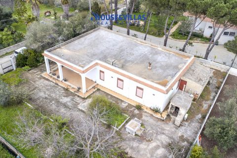 Villa i Avola, Siracusa, Avola - € 195.000 | Ref: 1254 - foto 3