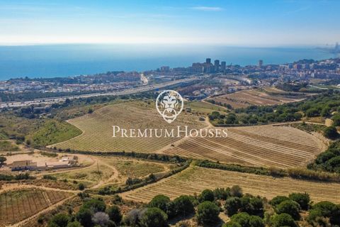 Villa a Alella, Barcelona, Alella - € 5.800.000 | Ref: PH103752/3699 - foto 48
