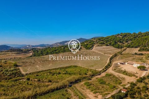 Villa a Alella, Barcelona, Alella - € 5.800.000 | Ref: PH103752/3699 - foto 49
